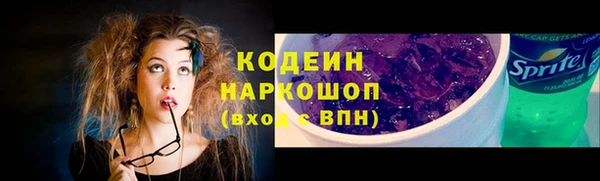 амф Арсеньев