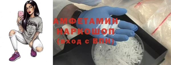 стаф Алзамай