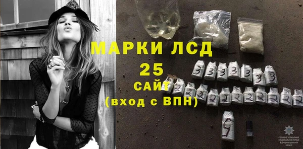 стаф Алзамай
