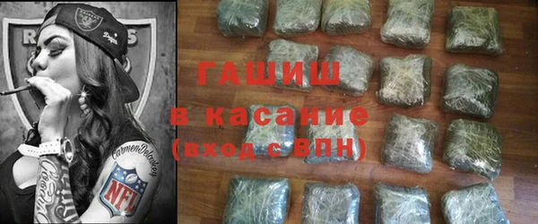 стаф Алзамай