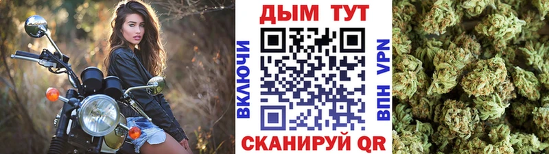 что такое   кракен зеркало  Конопля конопля  Благодарный 